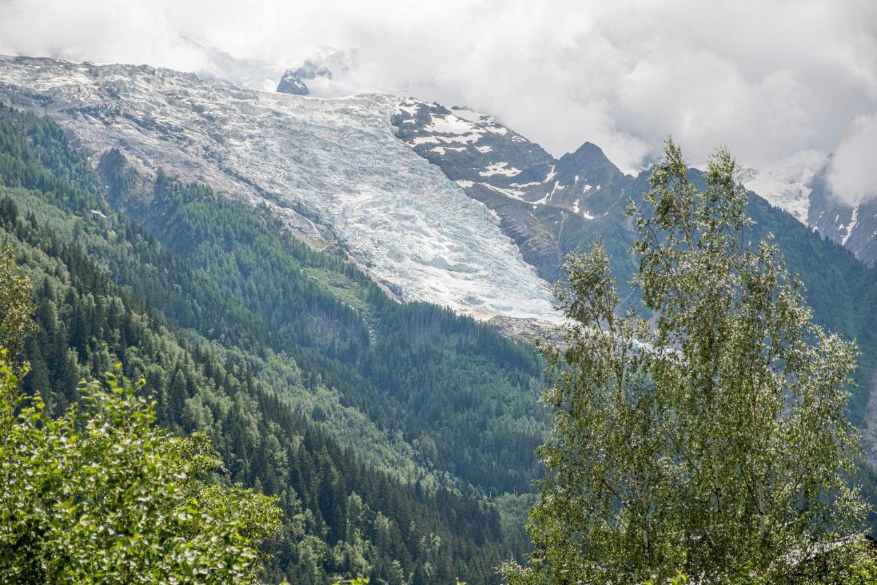 شقة Au Coeur Du Glacier شامونكس المظهر الخارجي الصورة